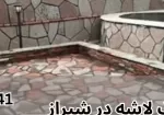 Load-Bearing Stone 5 نکته مهم برای خرید سنگهای تزئینی در شیراز